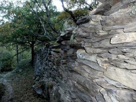 photo coins arrondis